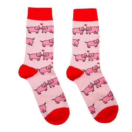 Pig in love socks