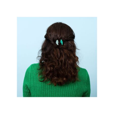Love birds mini hair clip set