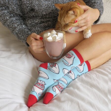 Chilly cat socks